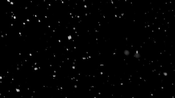 Falling Snow Falling Snow Close 4 vfx asset stock footage