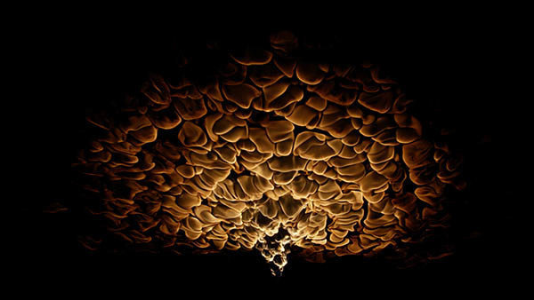 Ceiling Fire Front Ceiling Fire 8 vfx asset stock footage