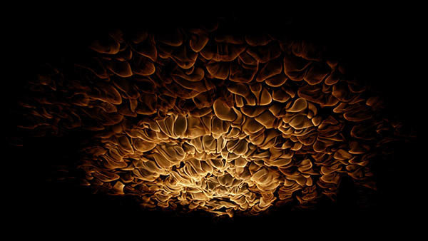Ceiling Fire Front Ceiling Fire 10 vfx asset stock footage