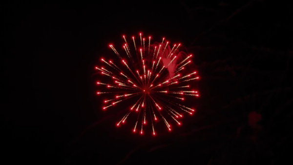 Fireworks Vol. 1 Firework 14  vfx asset stock footage
