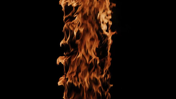Forest Fires Tree Trunk Close 1 vfx asset stock footage