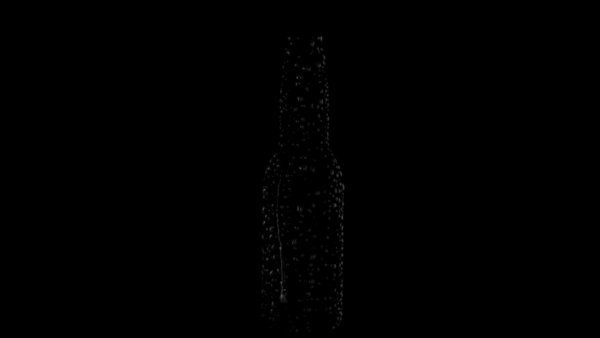 Sweat & Condensation Sweating Beer Bottle 1 vfx asset stock footage