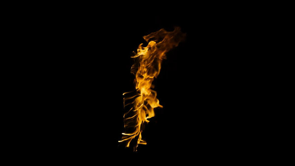 Body Fire Burning Arm Vertical Windy 1 vfx asset stock footage
