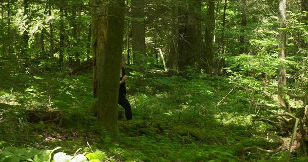 Couple Running in Forest Clip 2 vfx asset stock footage
