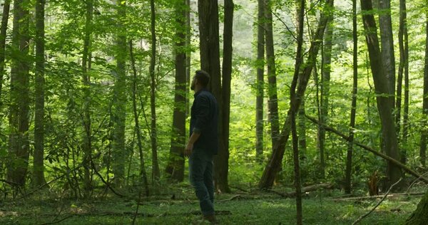 Man Wandering in Woods Clip 2 vfx asset stock footage