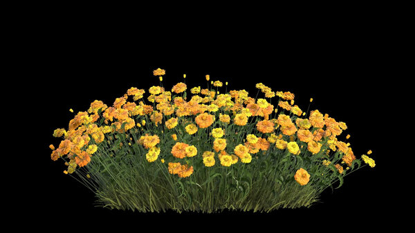 Flowers & Grasses Flowers 4 vfx asset stock footage