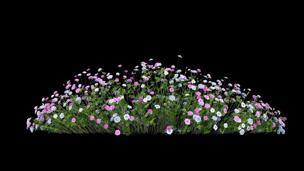 Flowers & Grasses Flowers 6 vfx asset stock footage