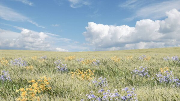 Flowers & Grasses