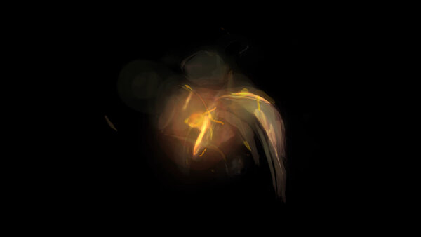 Painterly Pyro FX Cluster Explosion 1 vfx asset stock footage