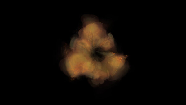 Painterly Pyro FX Explosion 3 vfx asset stock footage