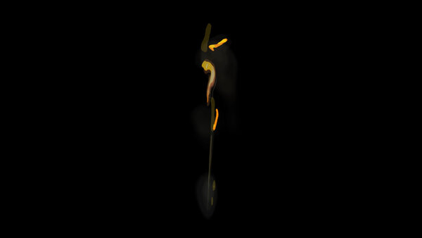 Painterly Pyro FX Fire 1 vfx asset stock footage