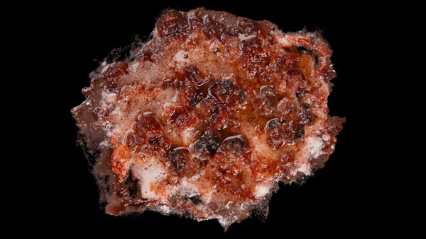 Burning Flesh Burning Flesh 2 vfx asset stock footage