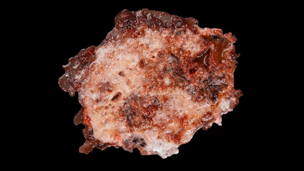 Burning Flesh Burning Flesh 3 vfx asset stock footage