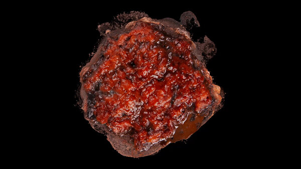 Burning Flesh Burning Flesh 6 vfx asset stock footage