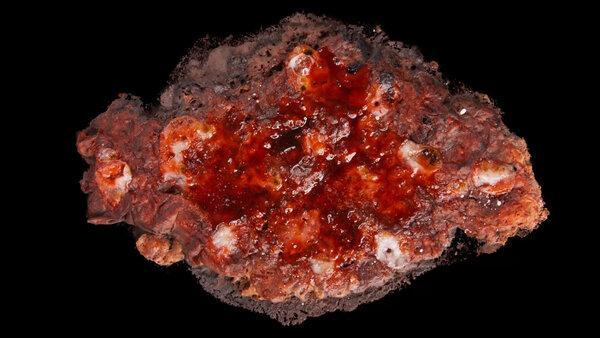 Burning Flesh Burning Flesh 9 vfx asset stock footage
