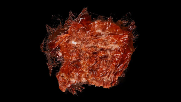 Burning Flesh Burning Flesh 10 vfx asset stock footage