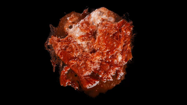 Burning Flesh Burning Flesh 15 vfx asset stock footage