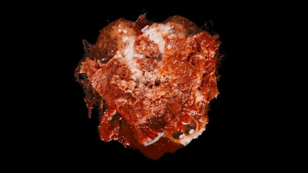 Burning Flesh Burning Flesh 14 vfx asset stock footage