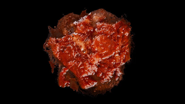 Burning Flesh Burning Flesh 16 vfx asset stock footage