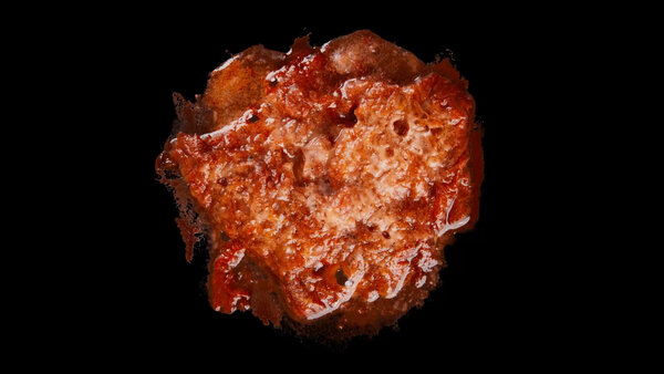 Burning Flesh Burning Flesh 17 vfx asset stock footage