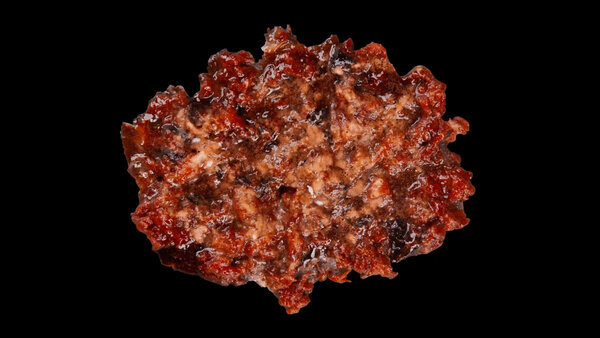 Burning Flesh Burning Flesh 23 vfx asset stock footage