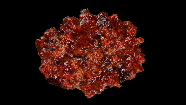 Burning Flesh Burning Flesh 24 vfx asset stock footage
