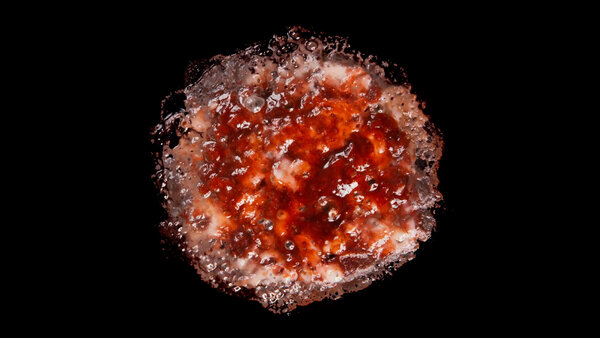 Burning Flesh Burning Flesh 36 vfx asset stock footage