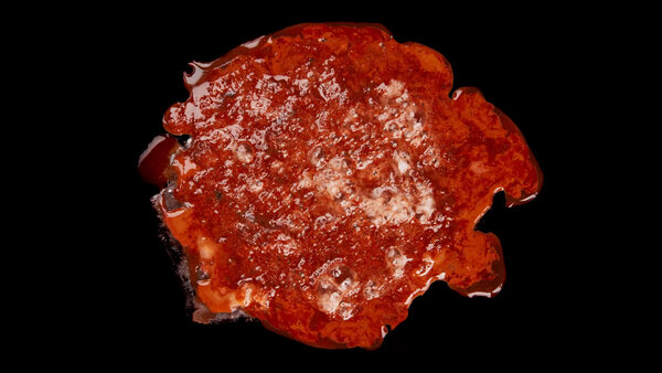 Burning Flesh Burning Flesh 38 vfx asset stock footage