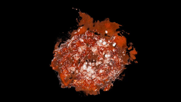 Burning Flesh Burning Flesh 39 vfx asset stock footage