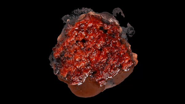 Burning Flesh Burning Flesh 5 vfx asset stock footage