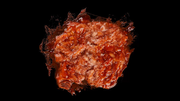 Burning Flesh Burning Flesh 13 vfx asset stock footage