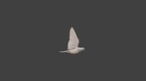 White Pigeon White Pigeon Flying 3 vfx asset stock footage