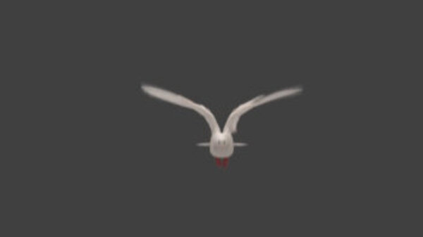 White Pigeon White Pigeon Flying High Angle 1 vfx asset stock footage