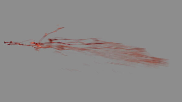 Chunky Blood Hits Side Blood Hit 5 vfx asset stock footage