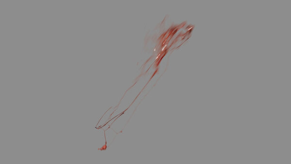 Chunky Blood Hits Diagonal Blood Hit 5 vfx asset stock footage