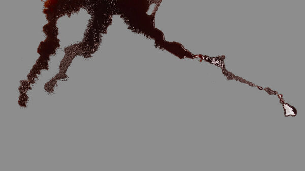 Blood Pools Vol. 2 Carpet Top 2 vfx asset stock footage