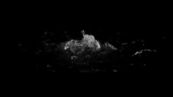 Small Water Surface Bubbles Water Surface Bubbles 3 vfx asset stock footage