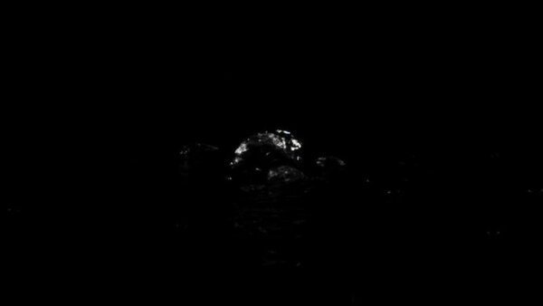 Small Water Surface Bubbles Water Surface Bubbles 4 vfx asset stock footage