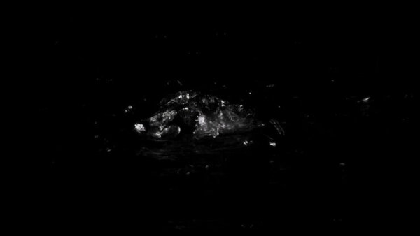 Small Water Surface Bubbles Water Surface Bubbles 6 vfx asset stock footage