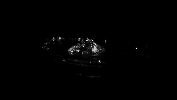 Small Water Surface Bubbles Water Surface Bubbles Pulsing 3 vfx asset stock footage