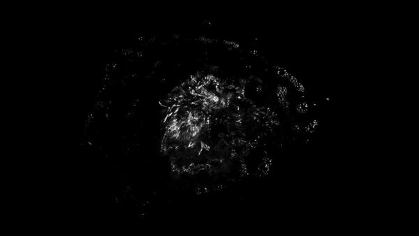 Small Water Surface Bubbles High Angle Surface Bubbles 2 vfx asset stock footage