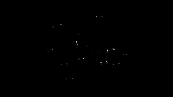 Small Water Surface Bubbles High Angle Surface Bubbles 4 vfx asset stock footage