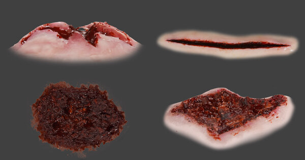 Gore Textures Vol. 2 83 Gore Textures vfx asset stock footage