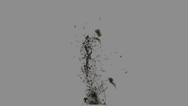 Grass & Leaves Bullet Hits Grass Bullet Hit 8 vfx asset stock footage