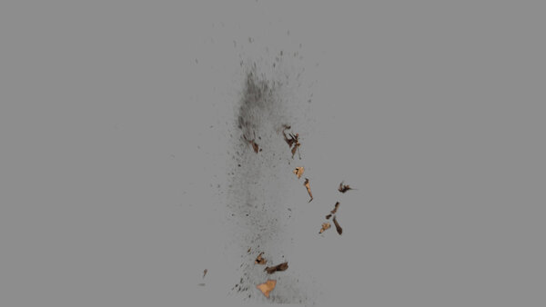 Grass & Leaves Bullet Hits Leaves Bullet Hit 2 vfx asset stock footage