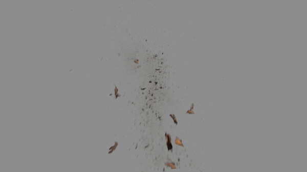 Grass & Leaves Bullet Hits Leaves Bullet Hit 3 vfx asset stock footage