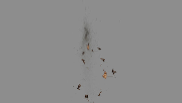 Grass & Leaves Bullet Hits Leaves Bullet Hit 5 vfx asset stock footage