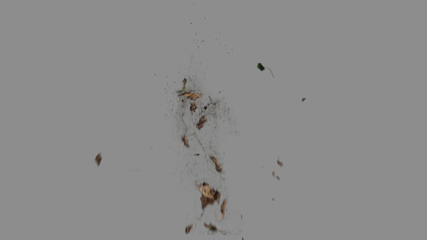 Grass & Leaves Bullet Hits Leaves Bullet Hit 6 vfx asset stock footage