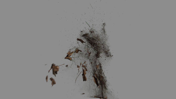 Grass & Leaves Bullet Hits Leaves Bullet Hit 7 vfx asset stock footage