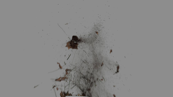 Grass & Leaves Bullet Hits Leaves Bullet Hit 8 vfx asset stock footage